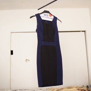 Two Toned Fitted Dress